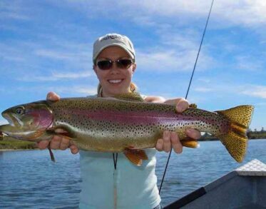 Trout Fishing Sacramento River