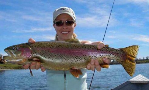 Trout Fishing Sacramento River