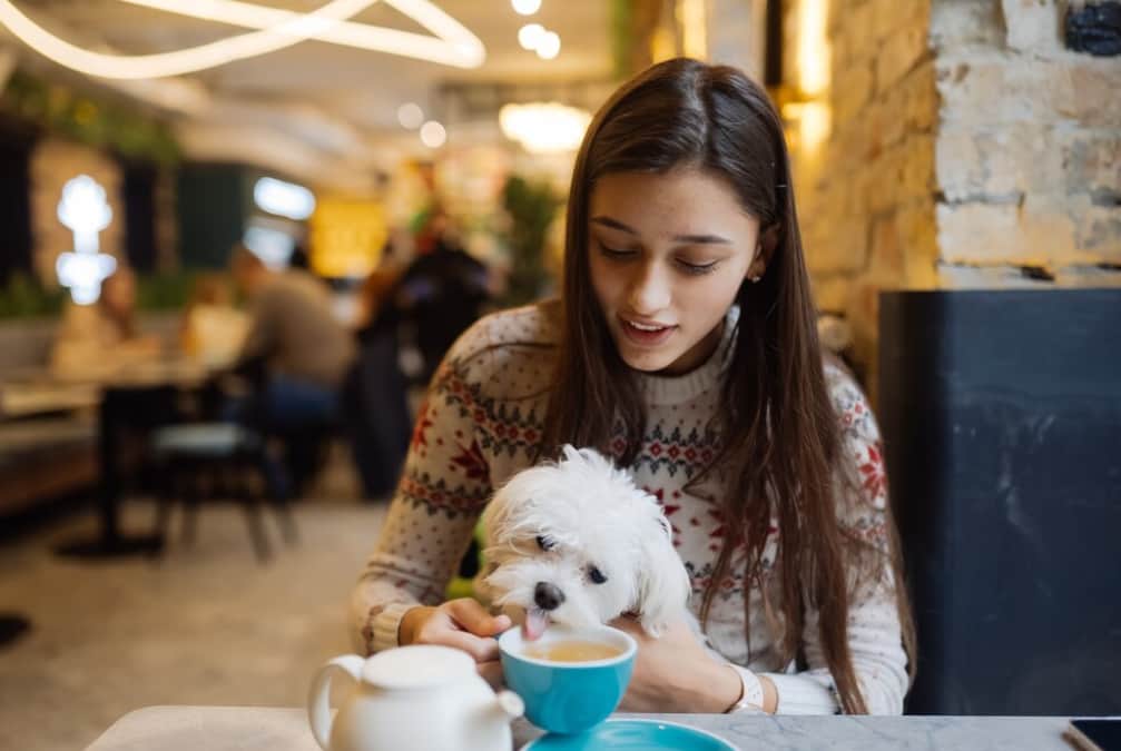 A young woman in a café shares a moment with a white fluffy dog